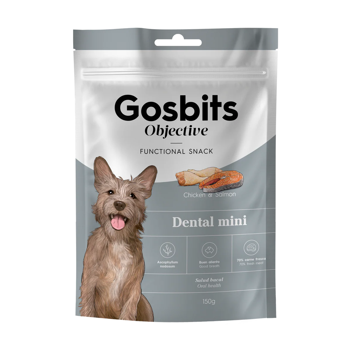 Gosbits_Objective_Dental_MINI