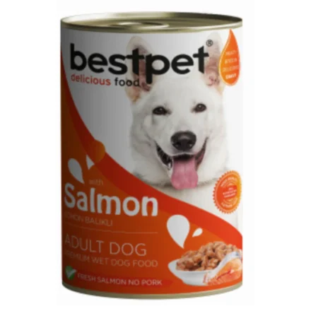 Bestpet salmon