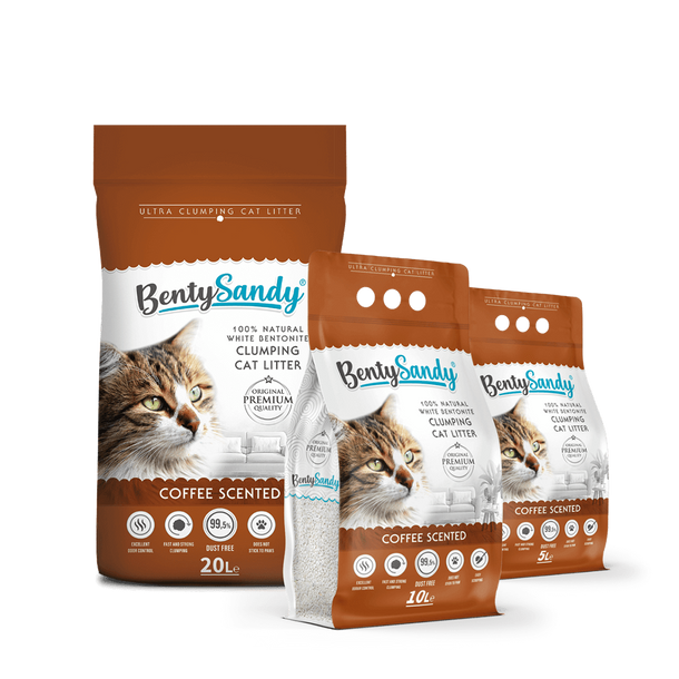 bentysandy-trio-coffee