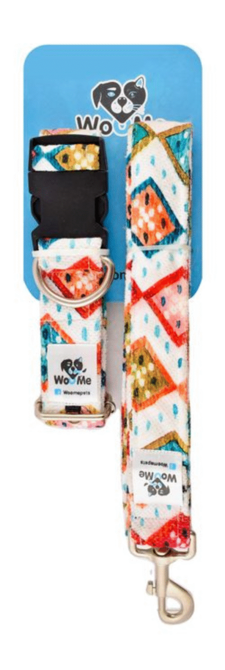 Woome Large Multicolored Dot Print Dog Collar with Leash