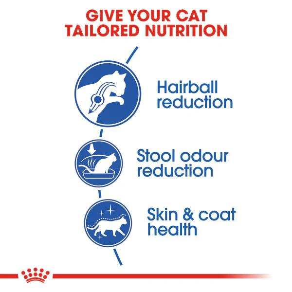 RC-FHN-IndoorLongHair-CV-Eretailkit-2_600x_949c6a00-ab40-4a26-99c3-c13b31c7085b