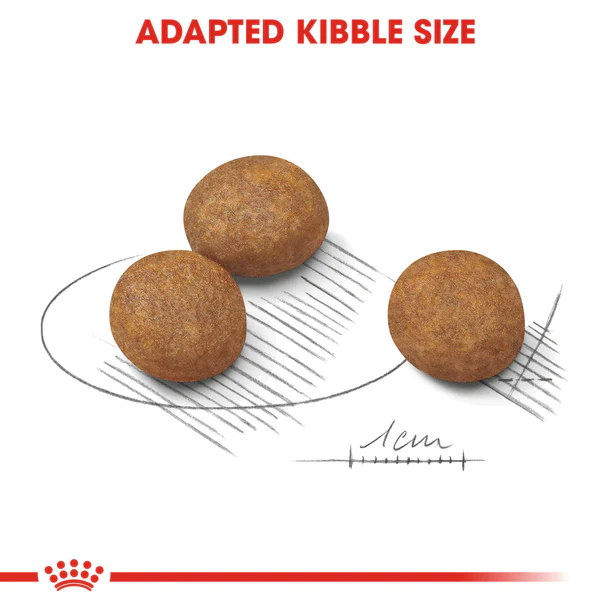 RC-SHN-PuppyMaxi-CV-EretailKit-3_b41ef797-f0c3-4aac-8fd7-6d8a7d726a02