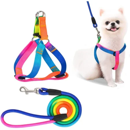 PET's Harness with Leash Set_Colorful Nylon